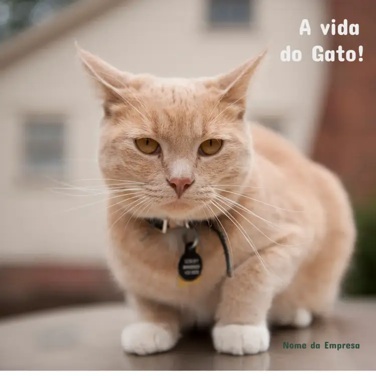 Convite Post Para Pet Shop Logotipo
