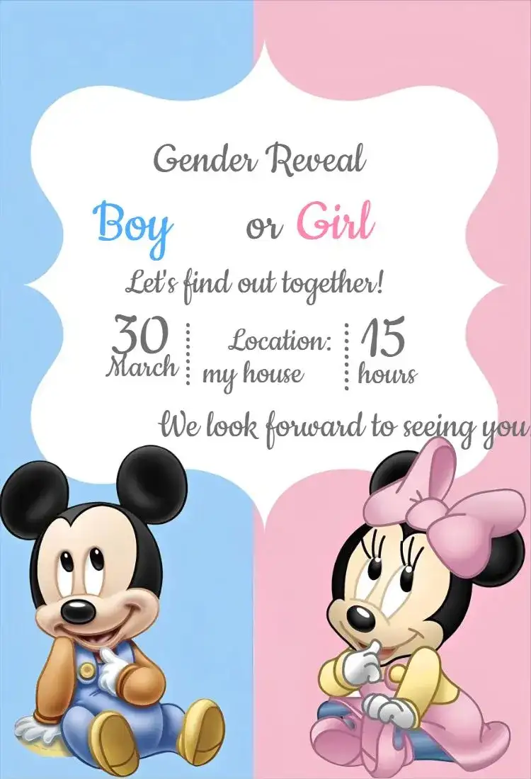 Minnie and Mickey Baby 2 Reveal Party