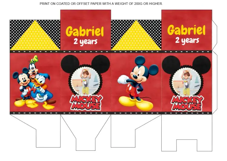 Invitation Mickey Mouse Milk Box With Photo Logo – Most searched for theme colorful, fun, childish, themed, character illustrations