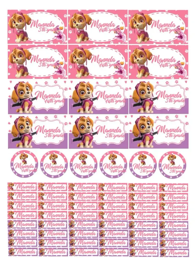 Skye Paw Patrol Pink School Label invitation