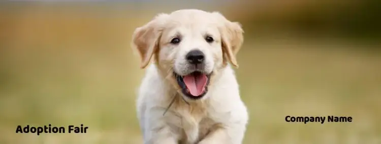 Post For Pet Shop Companies invitation