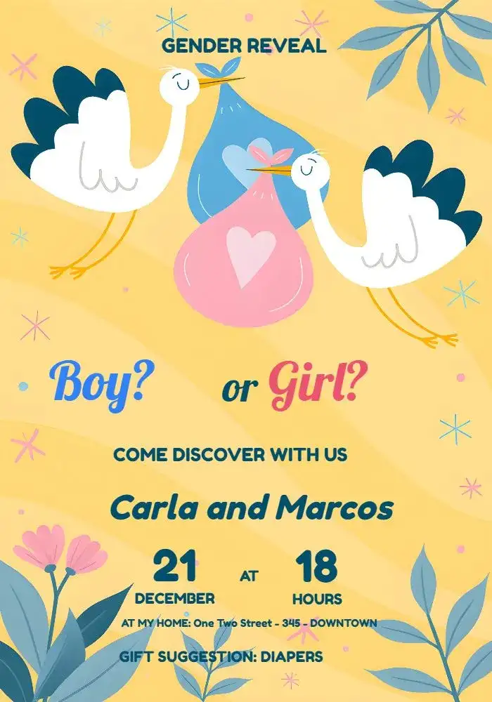Stork Gender Reveal Gift Suggestions