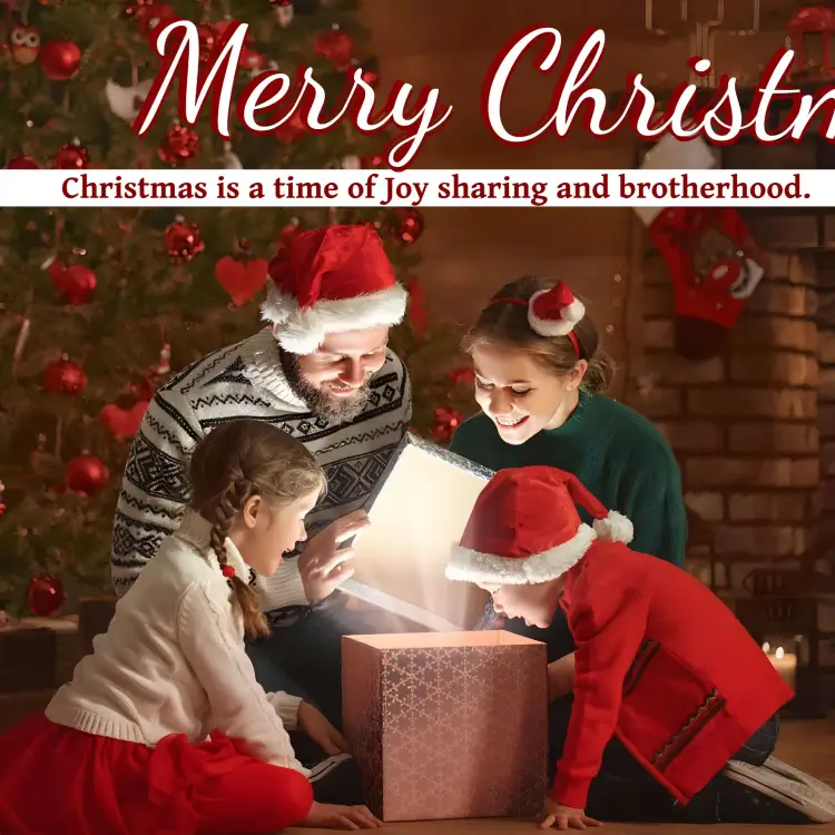 Merry Christmas Post invitation