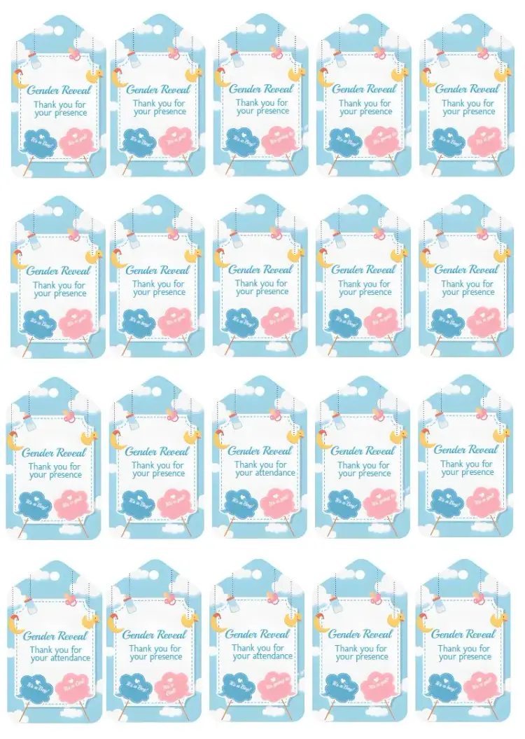 Tag For Moon Gender Reveal Party invitation
