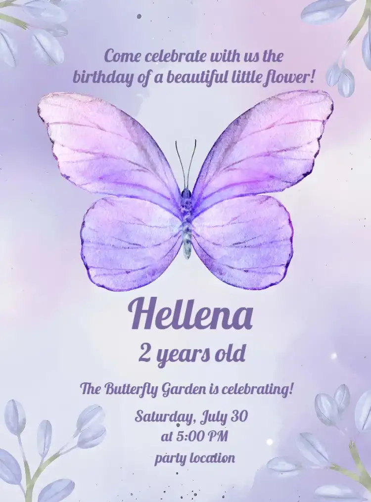 Purple Butterfly Butterflies