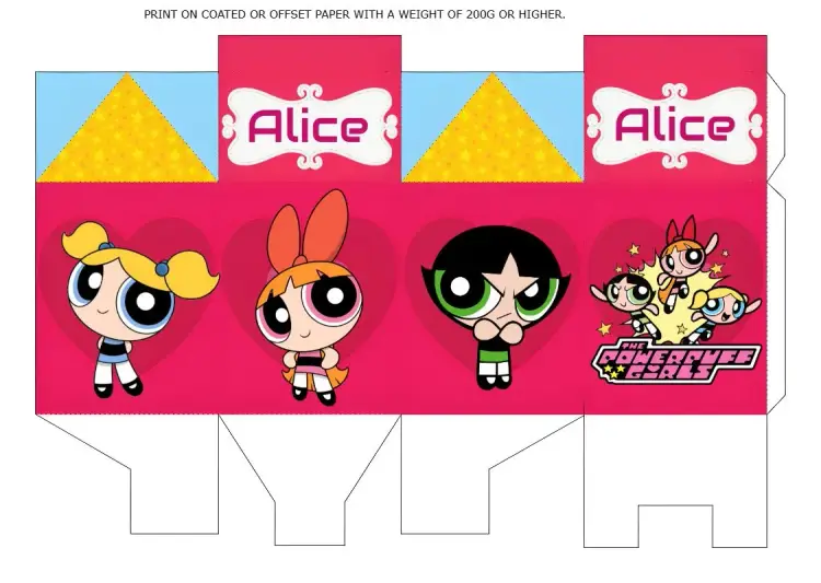 Powerpuff Girls Milk Box Mold invitation