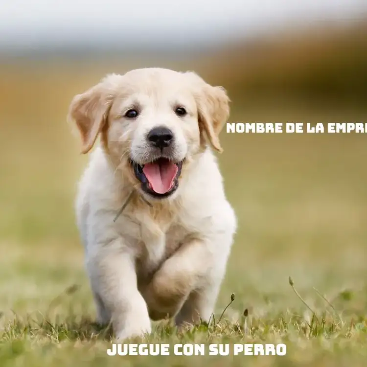 Invitación Publicación Para Tienda de Mascotas – tema Más buscados colorido, divertido, moderno, animales, informal