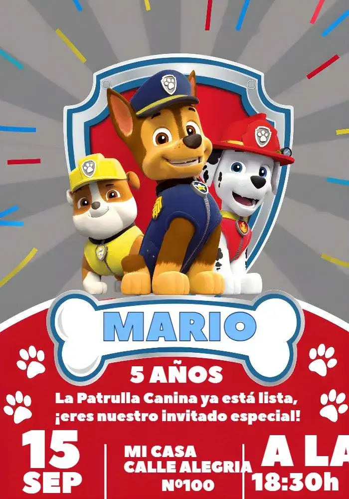 Patrulla Canina Colorido