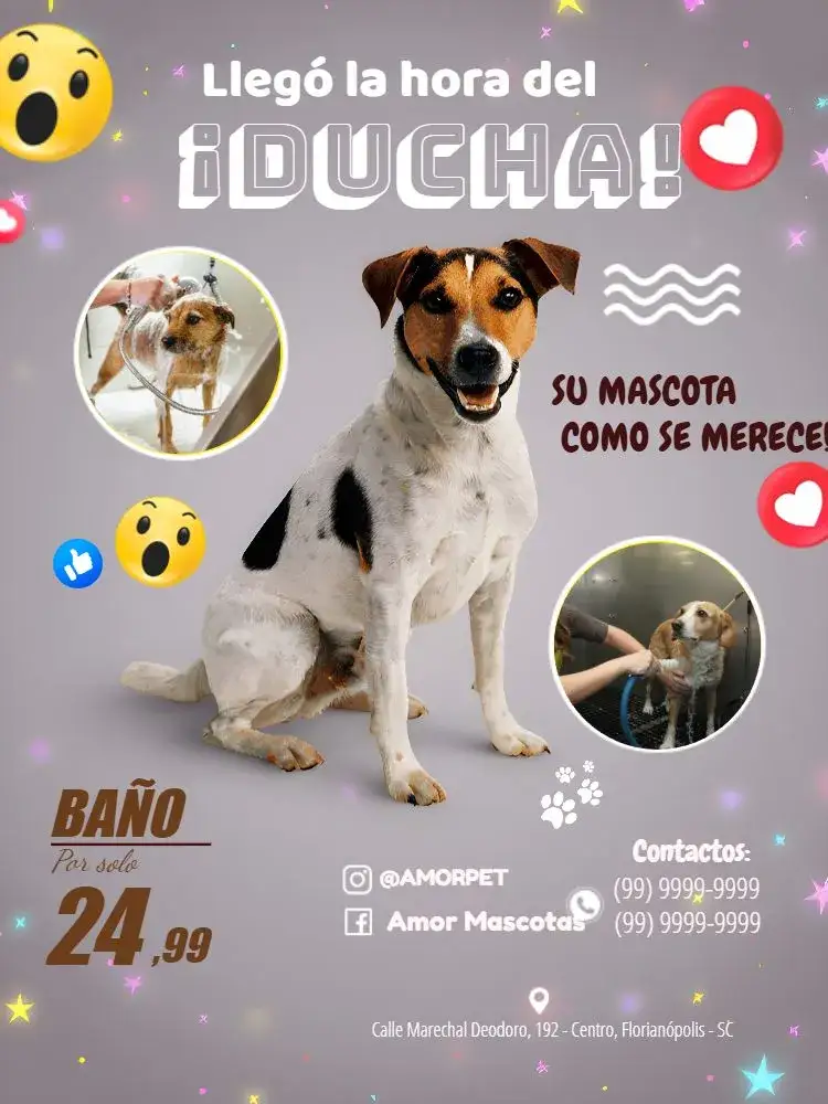 Invitación Folleto Para Pet Shop Azul – tema Más buscados moderno, colorido, divertido, minimalista, animales, juvenil