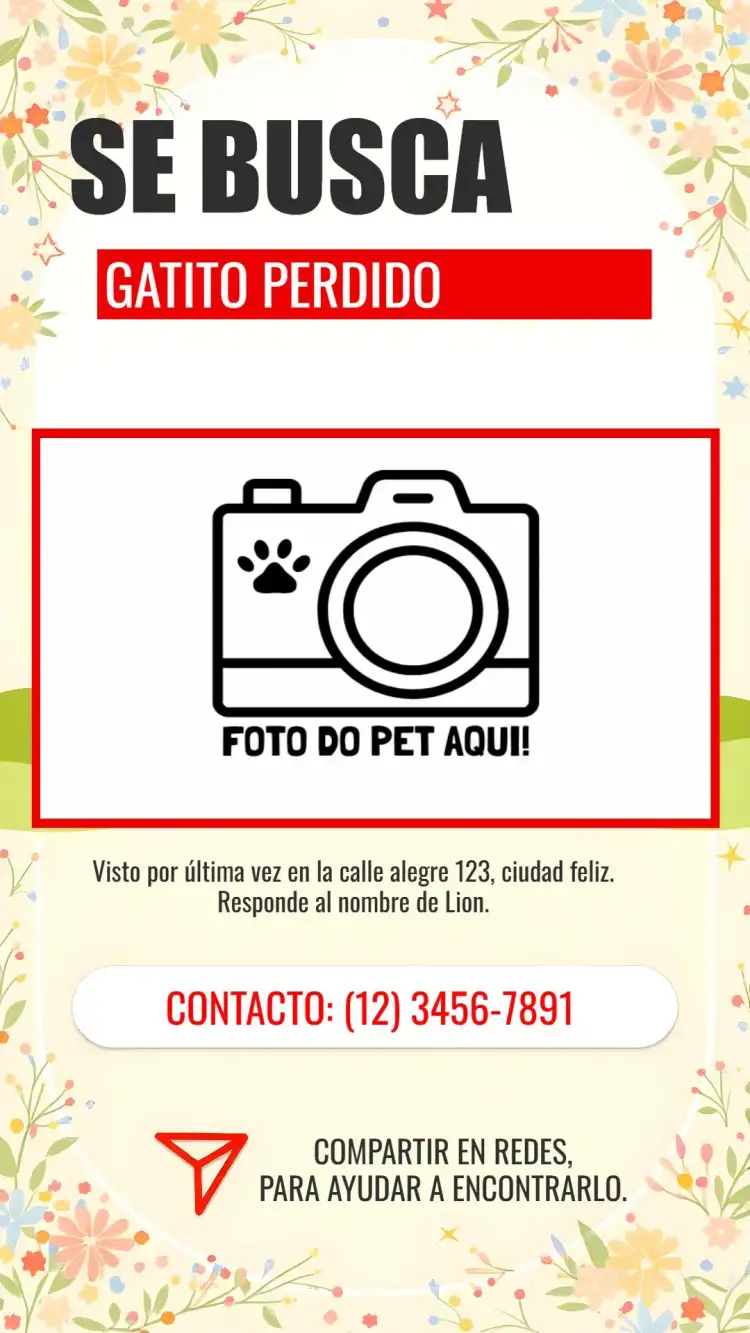 Publicación Se Busca Mascota Desaparecida Con Foto Gato