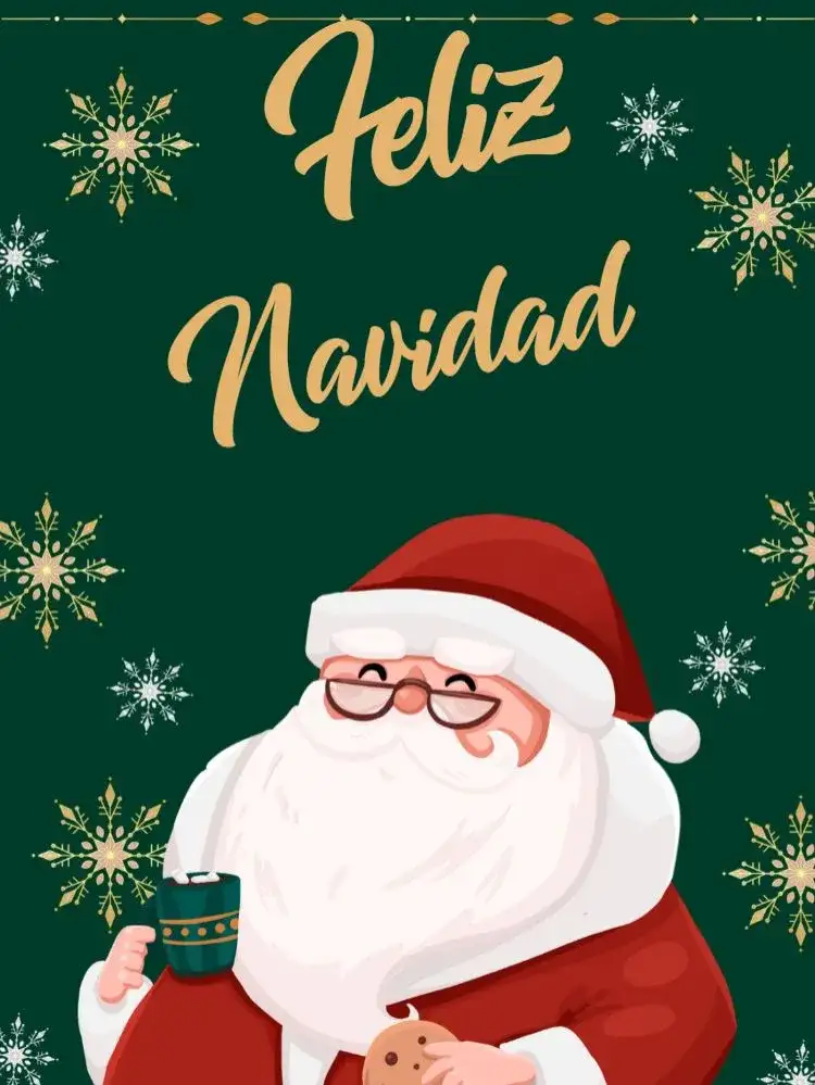 Tarjeta De Feliz Navidad Elegante Celebración