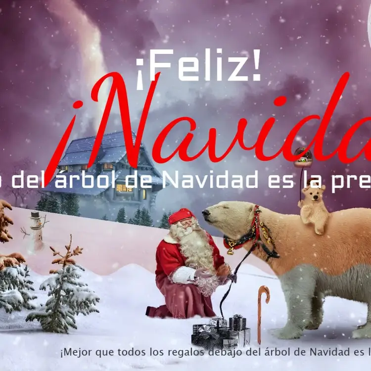 Invitación Publicación de Navidad