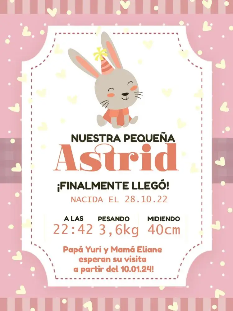 Invitación Tarjeta De Celebración Nacimiento Bebé Conejito Conejo
