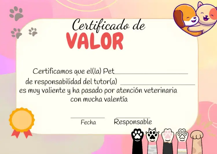 Invitación Certificado De Coraje Mascotas Perro – tema Más buscados divertido, colorido, moderno, animado, carinhoso, ilustraciones de mascotas