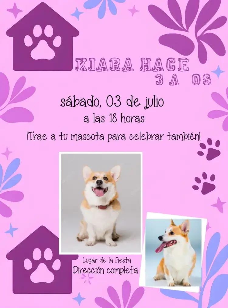 Invitación Perro Gato – tema Más buscados lila, púrpura, moderno, divertido, mascotas, colorido